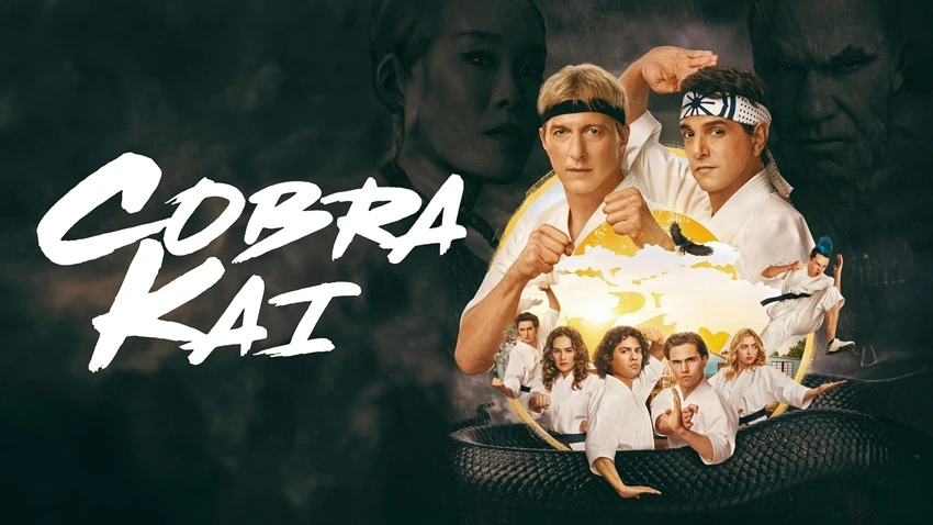 Download Cobra Kai | 2022 | Season 1 | Hindi | Netflix Original WEB Series  | 480p 720p 1080p | MoviesNation