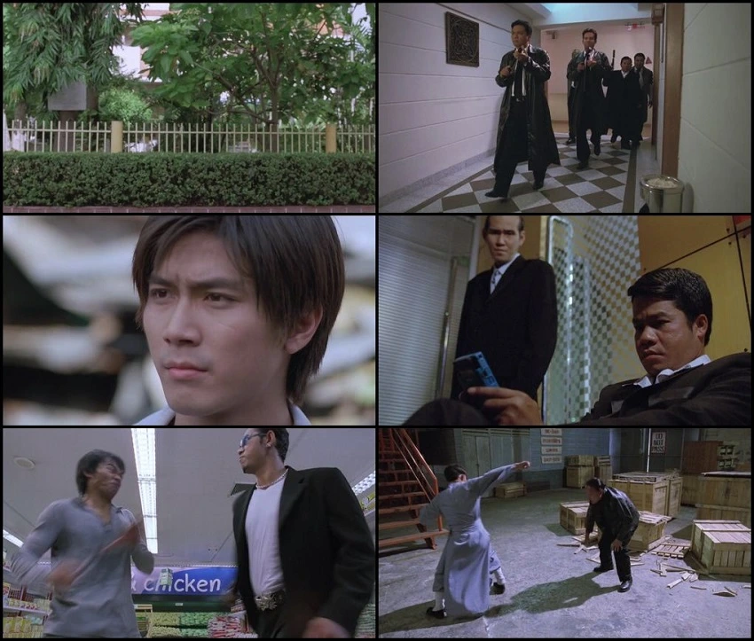 Download The Bodyguard | 2004 | Hindi-Thai | WEB-DL Dual Audio | 480p 720p 1080p