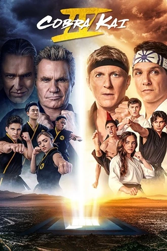   Download Cobra Kai | 2022 | Season 1 | Netflix Original WEB Series  | 480p 720p 1080p | MoviesRock